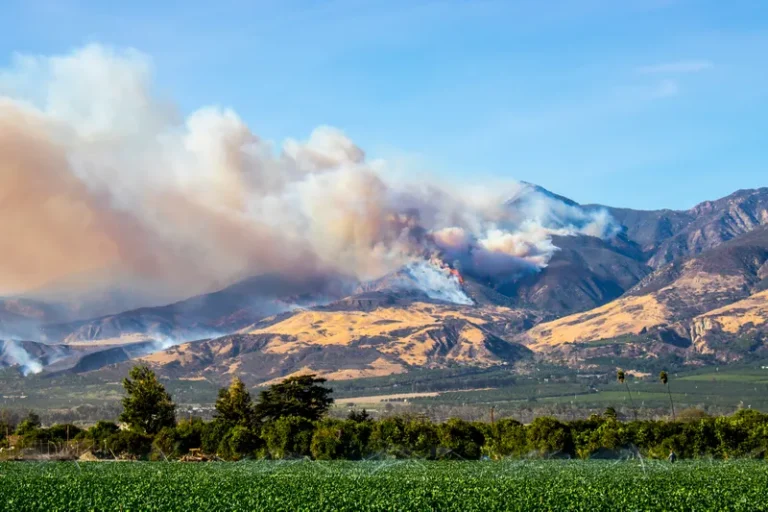 Santa Ana Winds Will Raise Fire Danger in Southern California